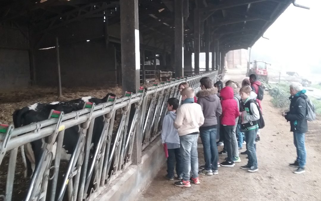 Visite à la ferme