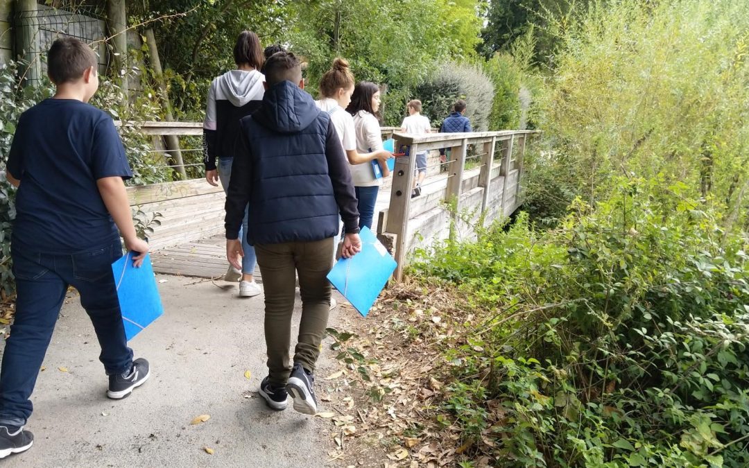 Les 6ème sur le chemin de St Jacques de Compostelle